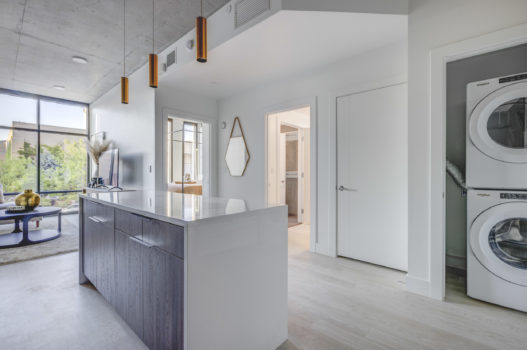 Open Concept Kitchen Livingroom